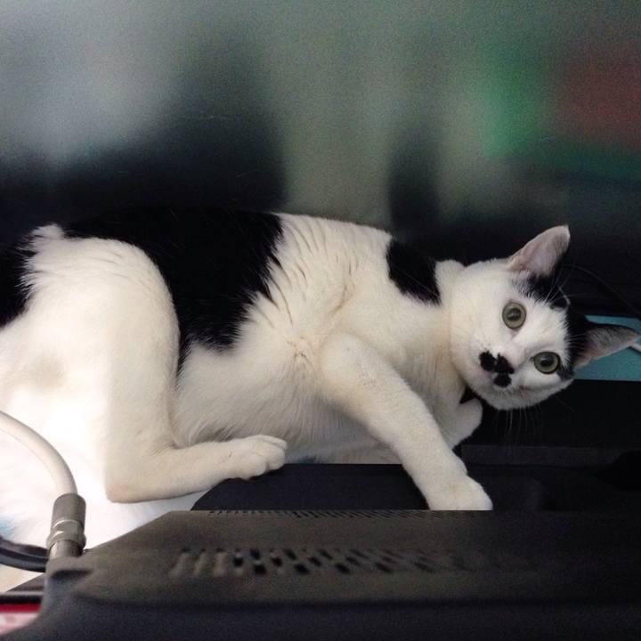 Bb5bbd97 0afc 4171 a05f d82433d1b462