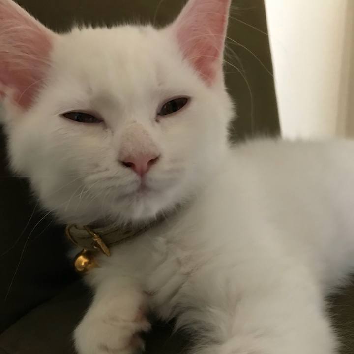 Bb5c5249 8f66 4de7 8bbd 5393235901aa