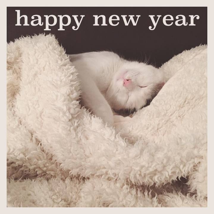 Bb5c6adc f832 4f43 a007 422c2486469d