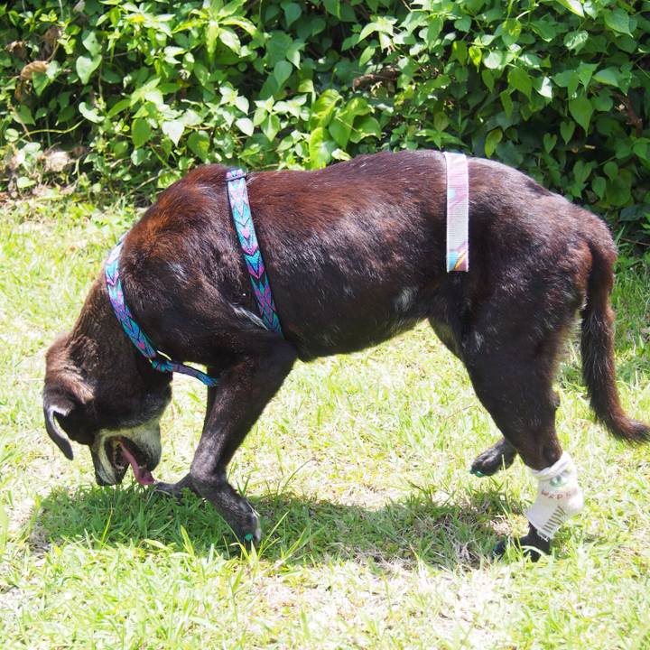 Bb5c847b 1390 4327 b08e b3263d94db00