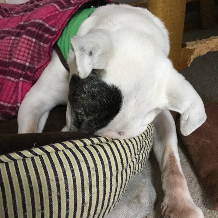 Bb5cb075 69a0 4809 aa33 924d27aa5186