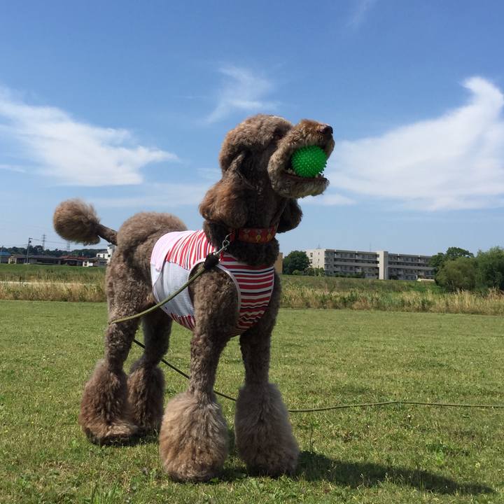 Bb5dc0c8 d476 4304 a7cc e3b833bab98d