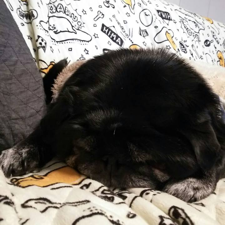 Bb5dc918 9bea 48be a51d b56cf768f447