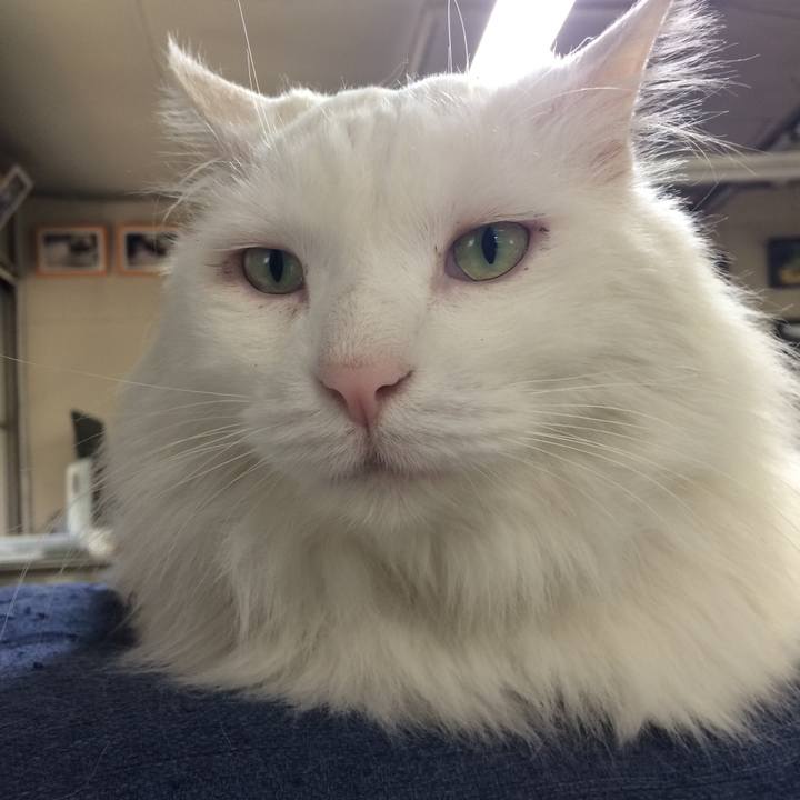 Bb5e0657 70d2 4370 8c51 931befa2e3ae