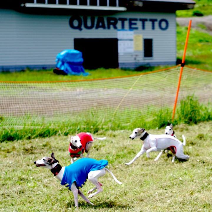 Bb5e2156 9c7c 43d1 a5ce 30f1bd87159f