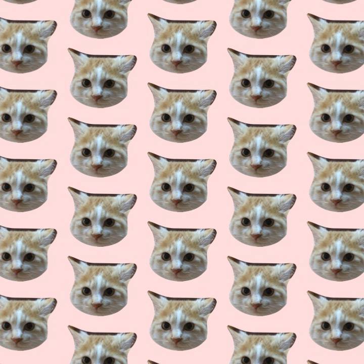 Bb5f819d d52d 460a 963c 3badcf705d1f