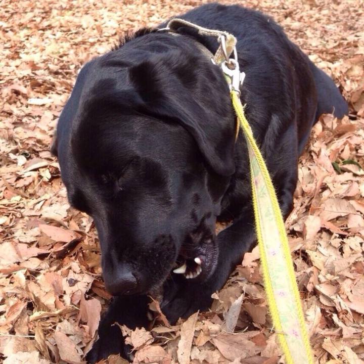 Bb601f6c d56f 490b 9a38 eac16789b325