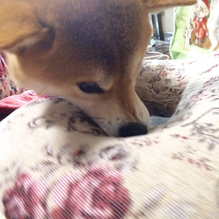 Bb603123 579b 4298 a0bf b0c34f1d7486