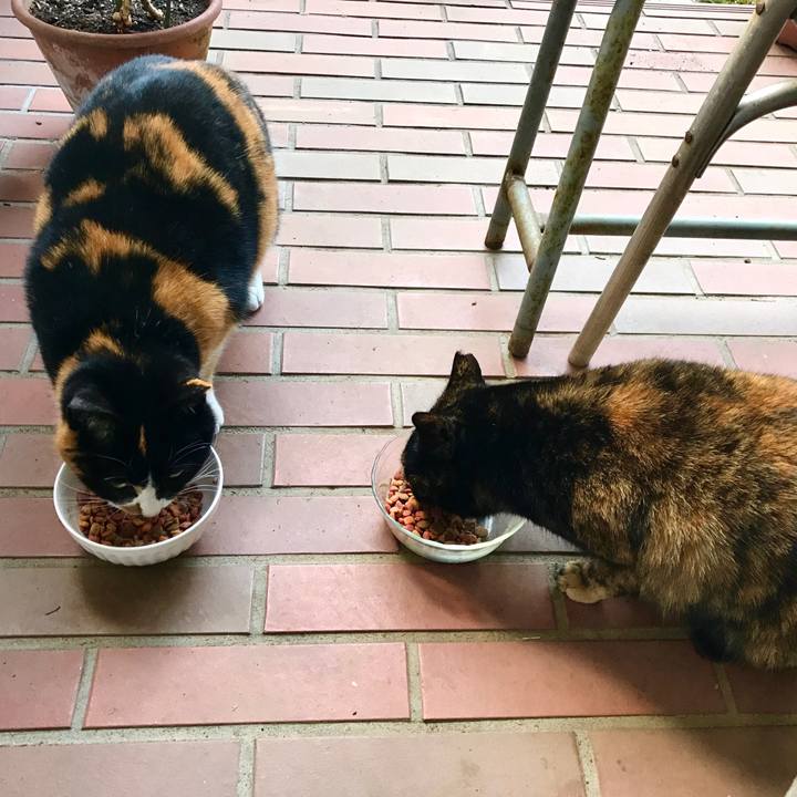 Bb60a90c 3370 42b5 ad6e 5ea7e13732bb