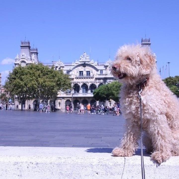 Bb618dda fc29 4506 a92f 051526ebce54