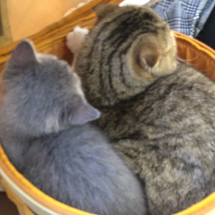 Bb61f69d 5817 4bf3 ace2 fca9b1339298