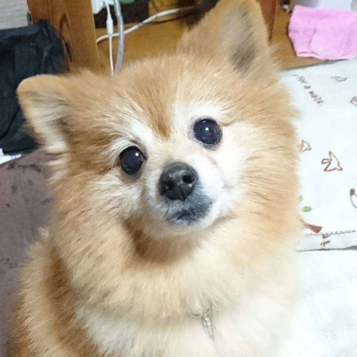 Bb62431e 6bdb 43cb 9183 af1d78bb44ce