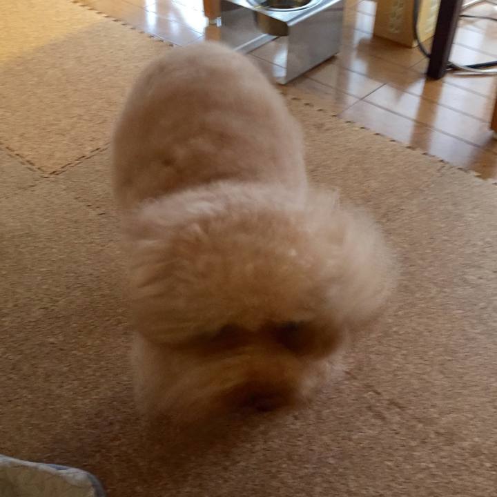 Bb629e4d b25c 4942 92ac 015215309cb7