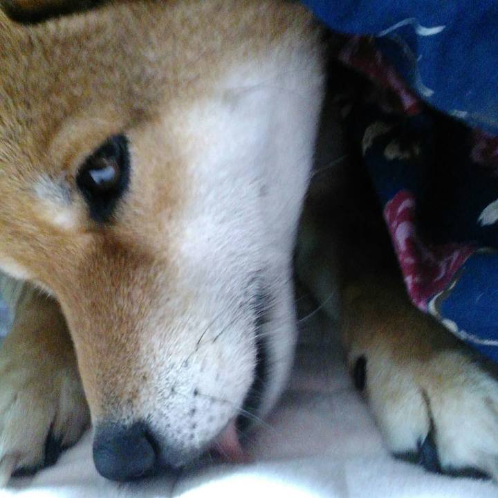 Bb632e61 5c7c 4a4e 93f1 08e97be0a073