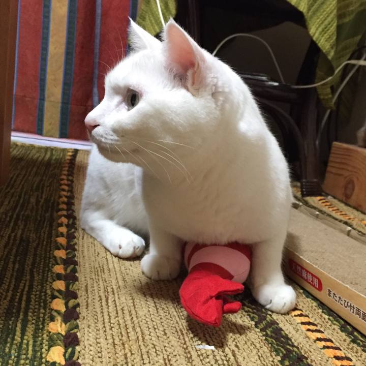 Bb639299 d2c5 4c38 98ea a60474868eb5