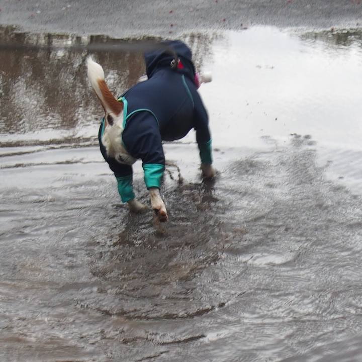 Bb639348 1673 41bf 9f55 75e1811cb0d0