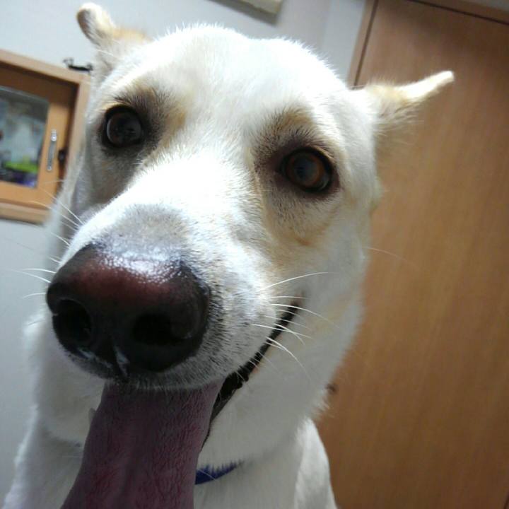 Bb642366 09fc 4b6d b905 452a2d6fe5e6