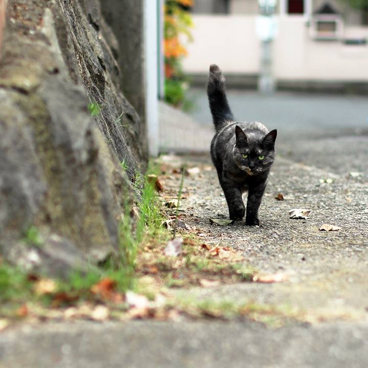 Bb644129 5bf5 45f5 b32d 159774bba9f2