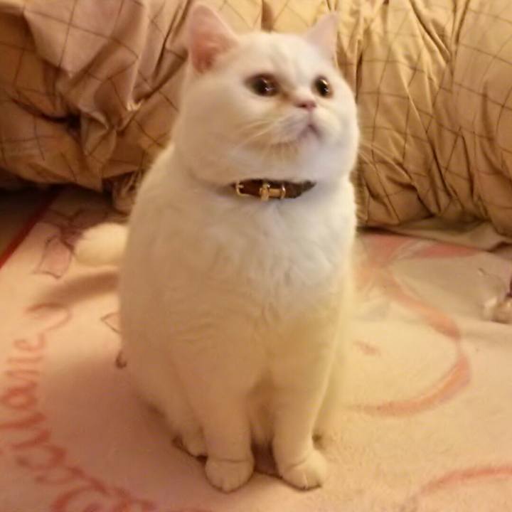 Bb647710 abe7 4ab0 8174 245e588f35ac