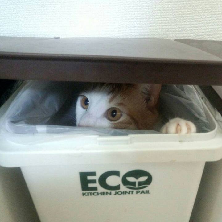 Bb647802 b0a7 430f 938b 049760ffb533