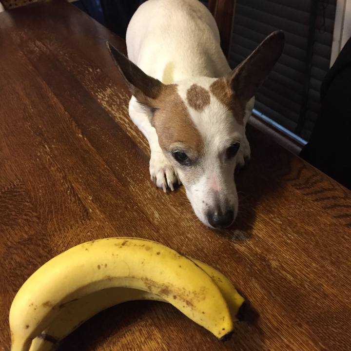 Bb653e79 d602 4e40 9888 d9f8ba756b0c