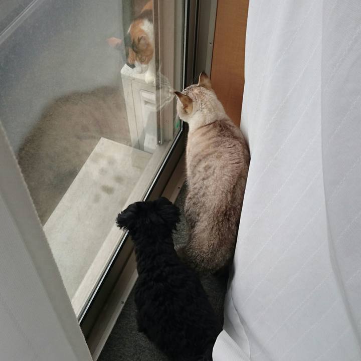 Bb663a61 409f 4a2d b689 fb6190f19ba5