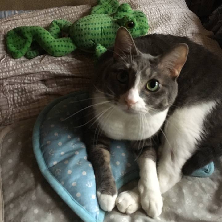 Bb6646e1 06c9 4963 a5b6 4174629c6464