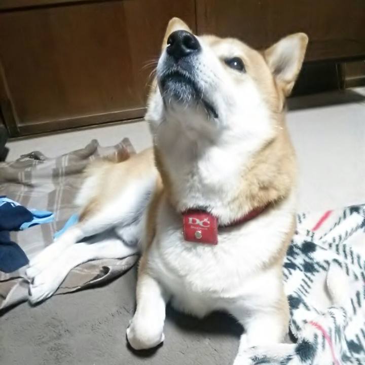 Bb66b8c4 953c 4355 b2f5 533731aa8a8e