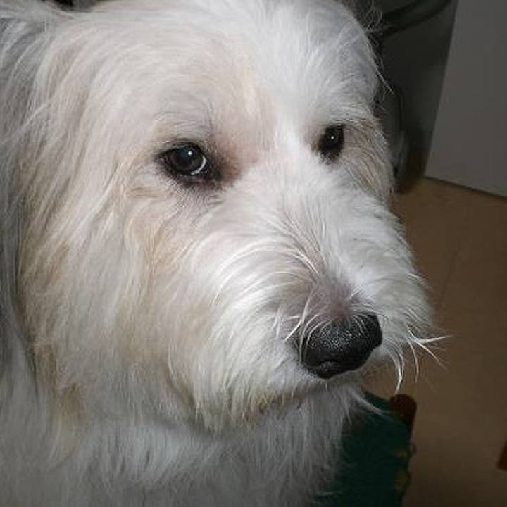 Bb670adf 92c8 4d94 9d3a af3384825860