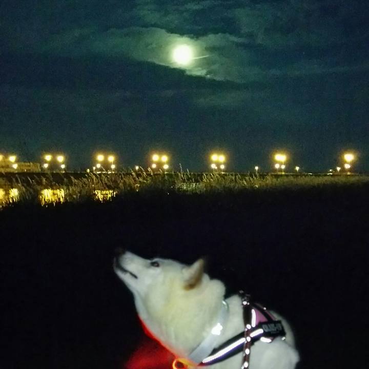 Bb671818 9bcd 4534 875d f11cb95c49cc