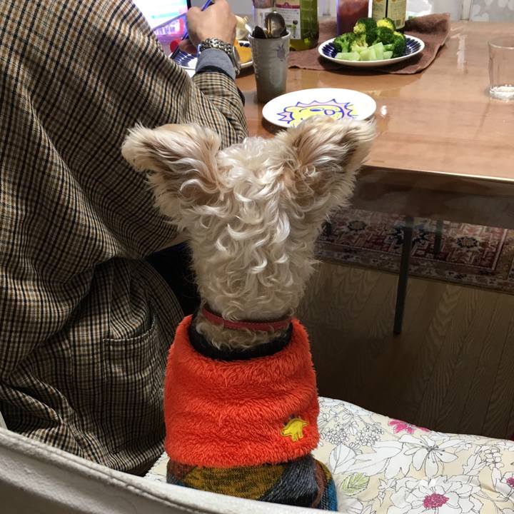 Bb6756da 8d51 475b b484 98c3309494fc