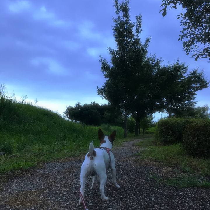 Bb677295 a752 4862 8c7a 750c137a3244