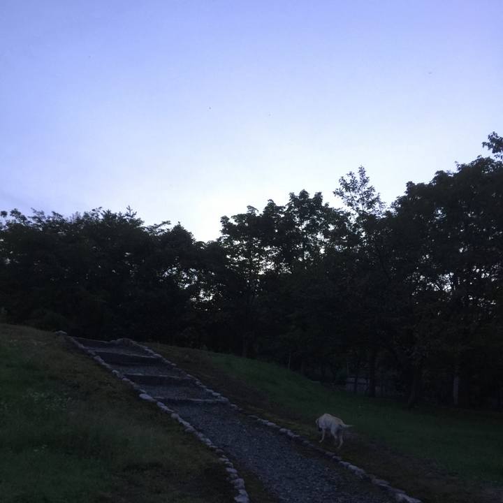 Bb682a41 884a 4280 a237 02b818291a18