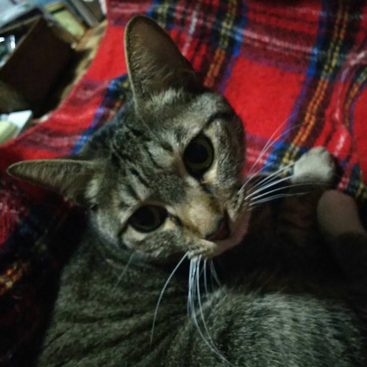 Bb695a2c 982f 41cf b1de 71841ee4e275