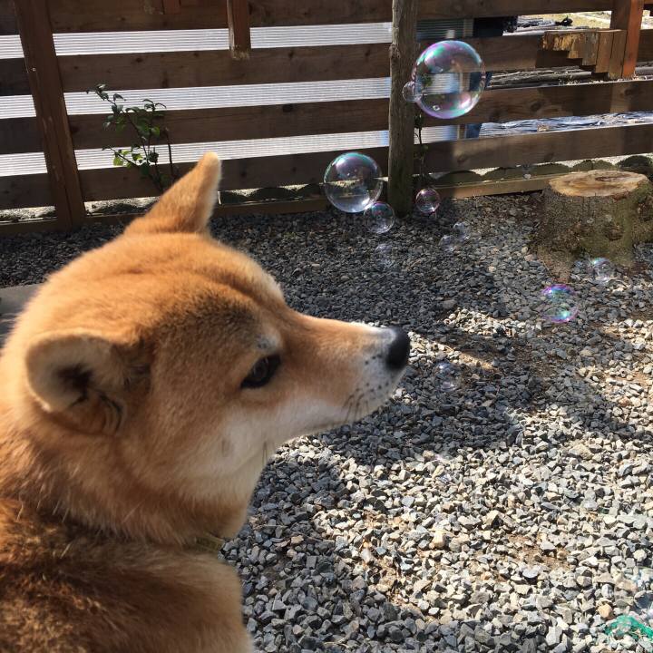 Bb6a5b15 d1cd 45ea 8a3e 24f44fd8461b