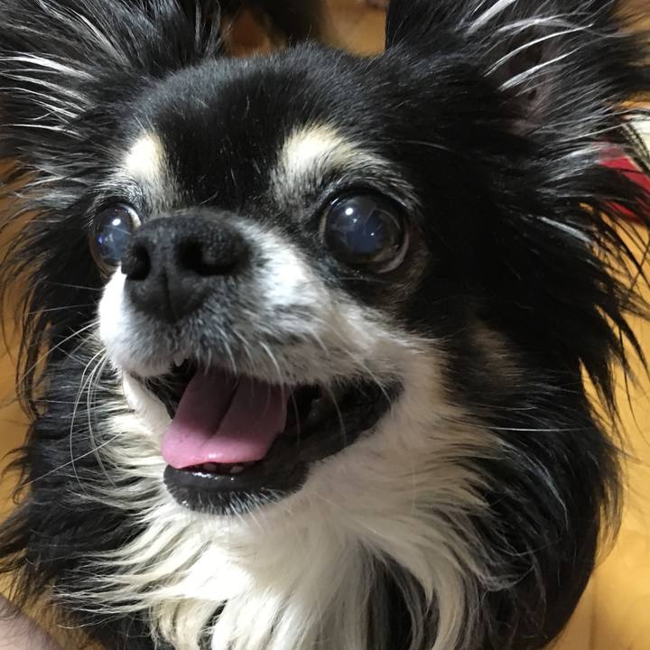 Bb6afefa 7451 4a3c afde c2a8dfeee9b5