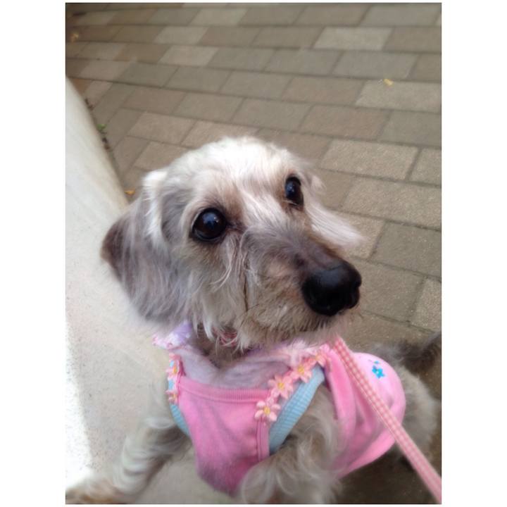 Bb6b17a0 9ce0 460a 85b3 fcae5324b95d