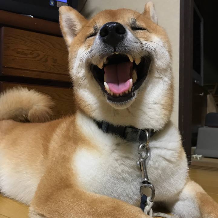 Bb6b7448 864d 4f2a a011 893bd89a5841