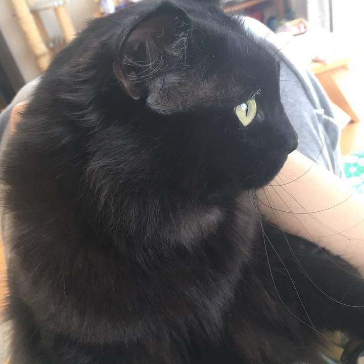 Bb6c44af 219e 4dca a9bb c4a5a3dfe7cc