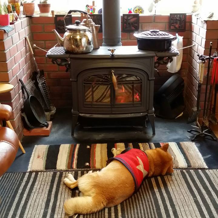 Bb6c5b7e a593 495d bf60 be89d205f4ca