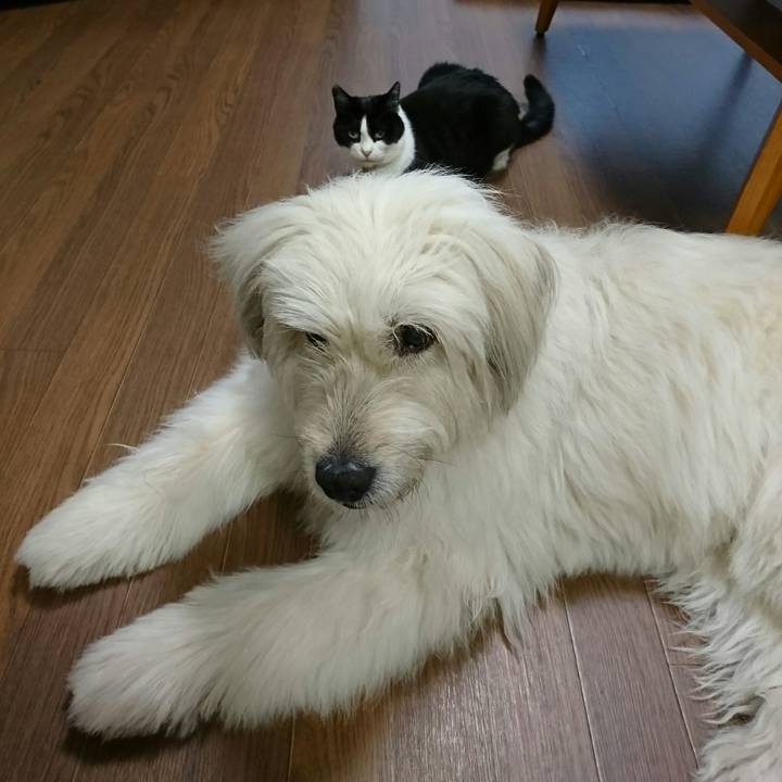 Bb6c73a8 870a 4eb3 9a2c f7a37ee9315c