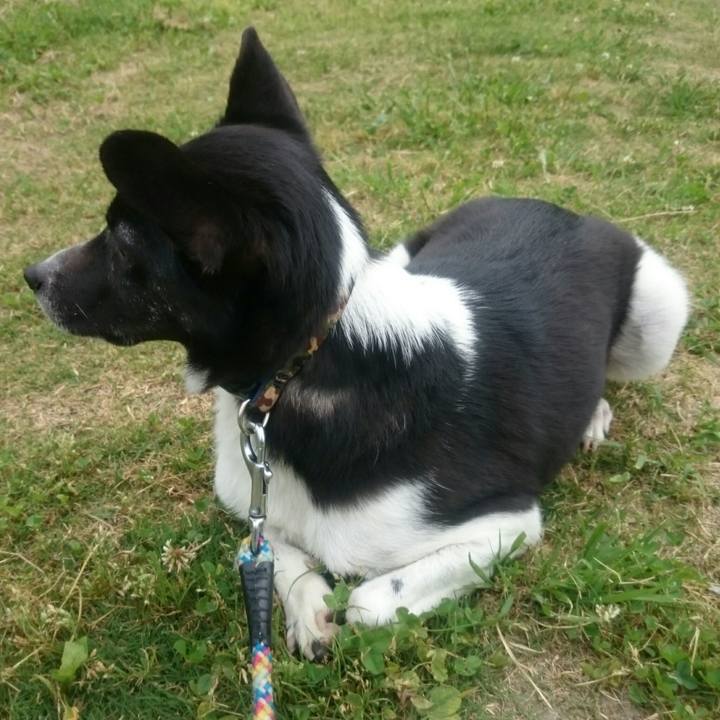 Bb6d8c72 9f88 4db3 99c5 0c63d68e29b1