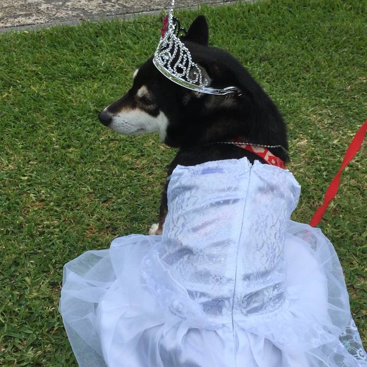 Bb6df69e b74f 45b4 bf2b acaff955102e