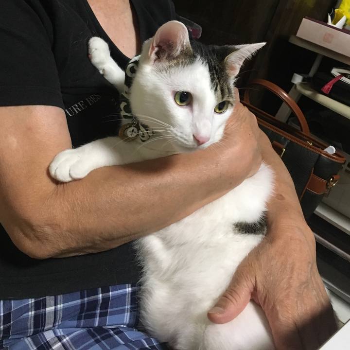 Bb6eac2d 14d5 4467 9bce cfc34d2955b5