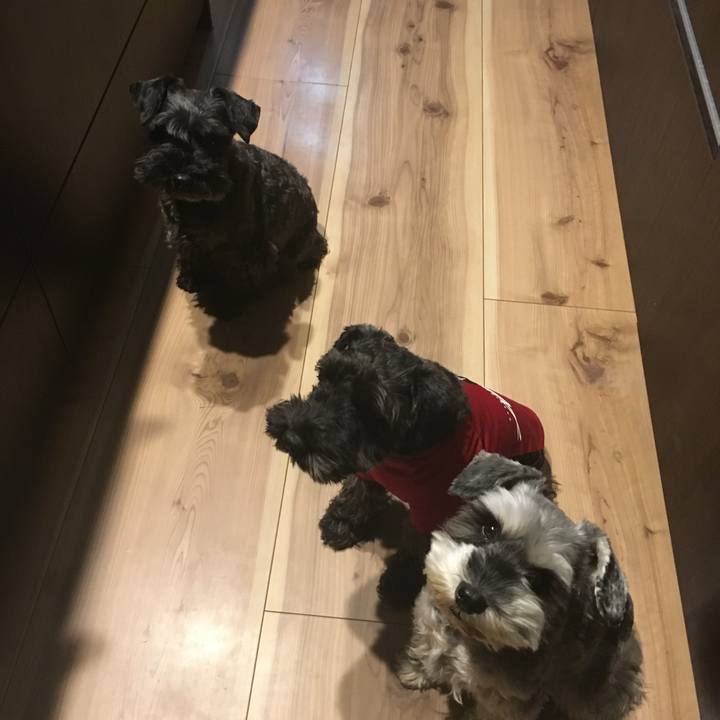 Bb6ec30d 3129 4243 9cd1 fbc753b97a98