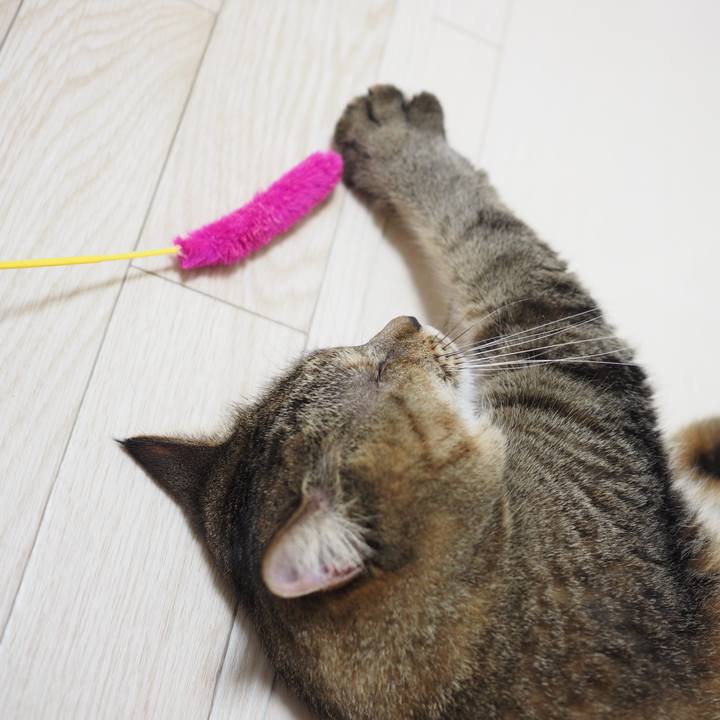 Bb6f62ca f255 49ac adac 81db1c743c8a