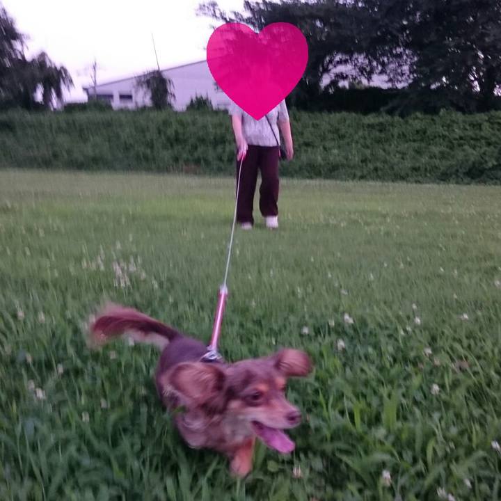 Bb6fa694 79cc 4a92 91d3 7bcf6a266b10