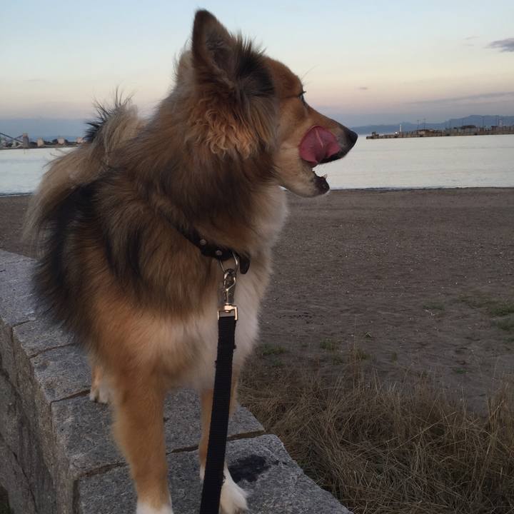 Bb6fc3d6 595c 4bd5 9c89 60aeb666f8ec