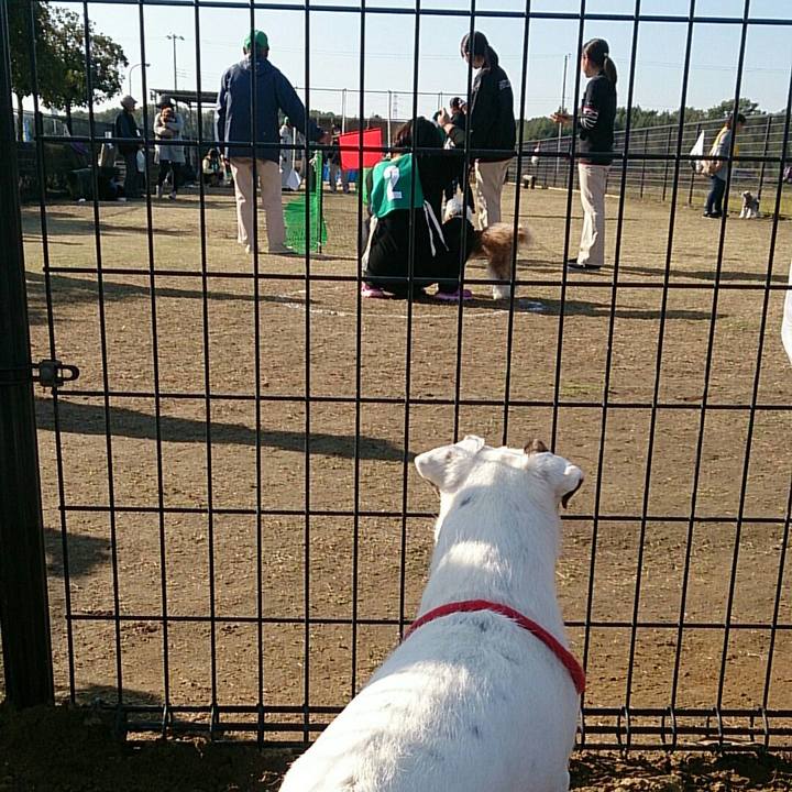 Bb7006e5 8f6d 42f5 8569 01d132e52129