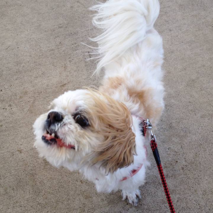 Bb7065ec 6bc8 4842 8830 55e4e574edad